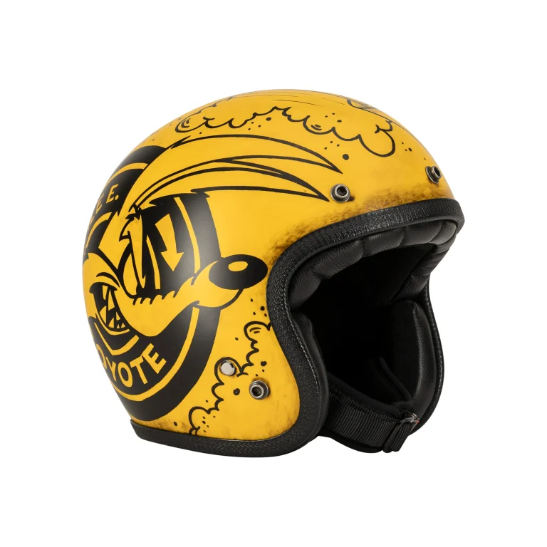 Wile E. Coyote-ACME racing team00001 (1)