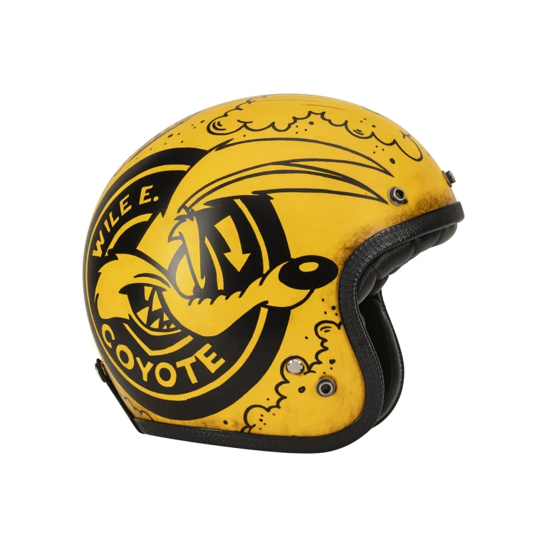 Wile E. Coyote-ACME racing team00001 (2)