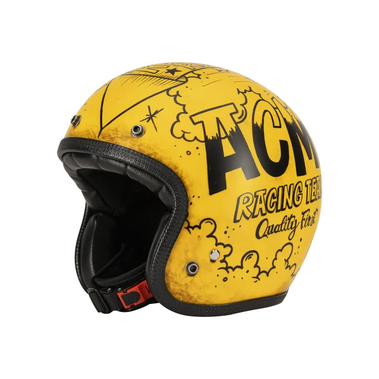 Wile E. Coyote-ACME racing team00001 (7)